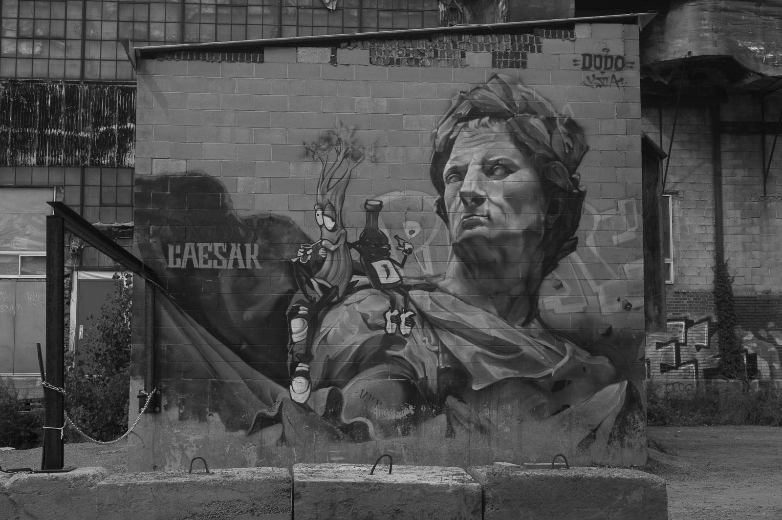 When Montreal comes alive through Art